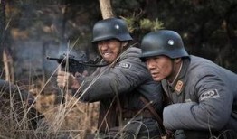 抗战大全电视剧大全在线观看,重温烽火岁月，共鉴民族精神